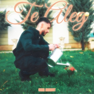 Omar Arnaout - Te aleg