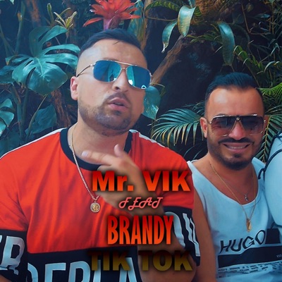 Mr Vik - Tik Tok (feat. Brandy)