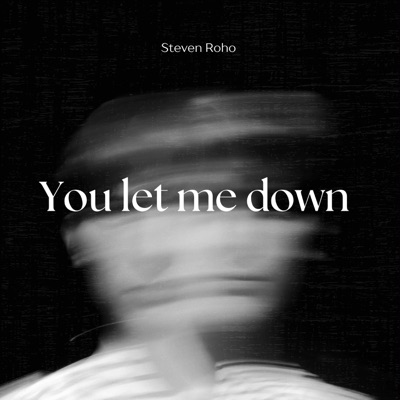 Steven Roho - You let me down (Radio Edit)