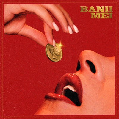The Pipers - Banii Mei