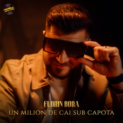Florin Bora - Un milion de cai stau sub capota