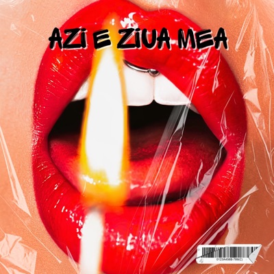 Jimmy Dub - Azi E Ziua Mea