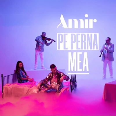 AMIR Artistul - Pe Perna Mea